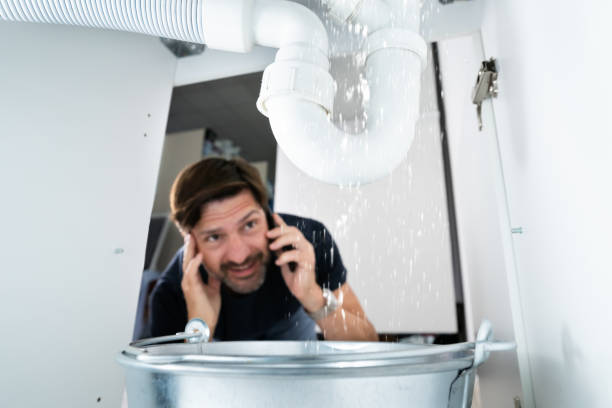 Best Best Plumbers Near Me  in Roscoe, IL