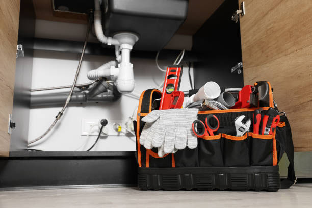 Best Sprinkler Systems  in Roscoe, IL
