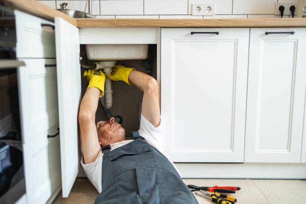 Best Plumbing Inspection Services  in Roscoe, IL