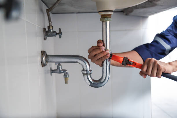 Best Plumbing Services Near Me  in Roscoe, IL