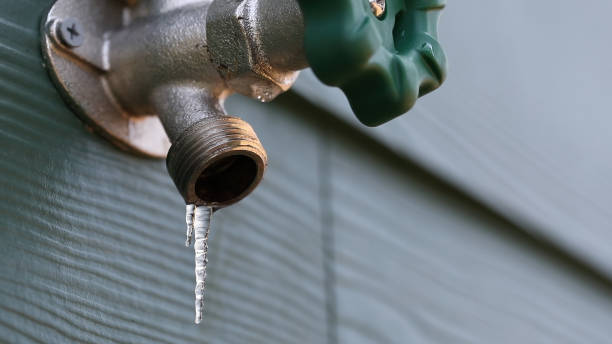 Best Sewer Line Repair  in Roscoe, IL