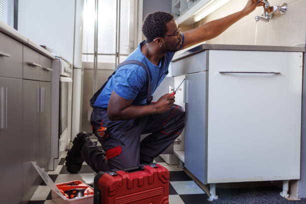 Best Residential Plumbing Services  in Roscoe, IL