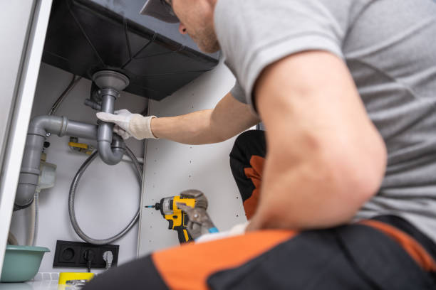 Best Plumbing Services Near Me  in Roscoe, IL